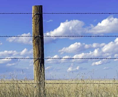 Barbed Wire Fence Service