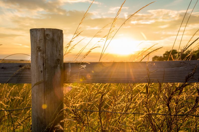Fence Installation at Sunset